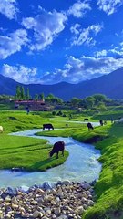 Thorsay_meadows❤️#thorsay_valley_pakistan_#gbexplore♥_#withhydar_#foryoupageofficiall_#trainding_zigzaig_#tourismpakistan_
