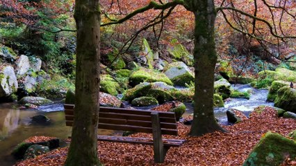 Âm nhạc thư giãn trị liệu với cảnh đẹp nhân gian - Nước đầu nguồn