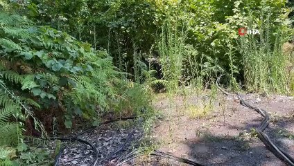 Zonguldak'ta 4 Kaçak Maden Ocağı Dinamitle İmha Edildi
