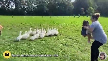 Funny Goose Chasing Babies Compilation _ Funniest Fun time
