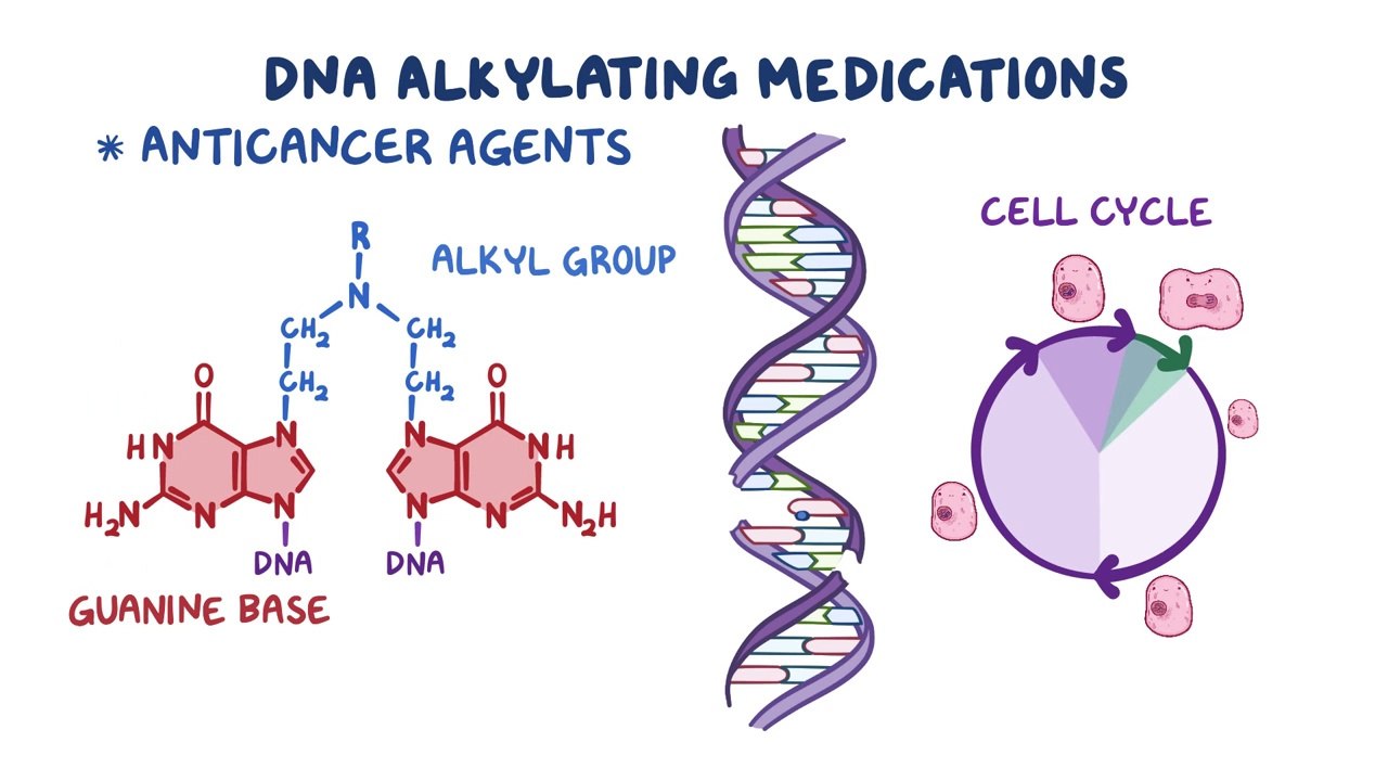 DNA Alkylating medications || Anti-cancer Drugs