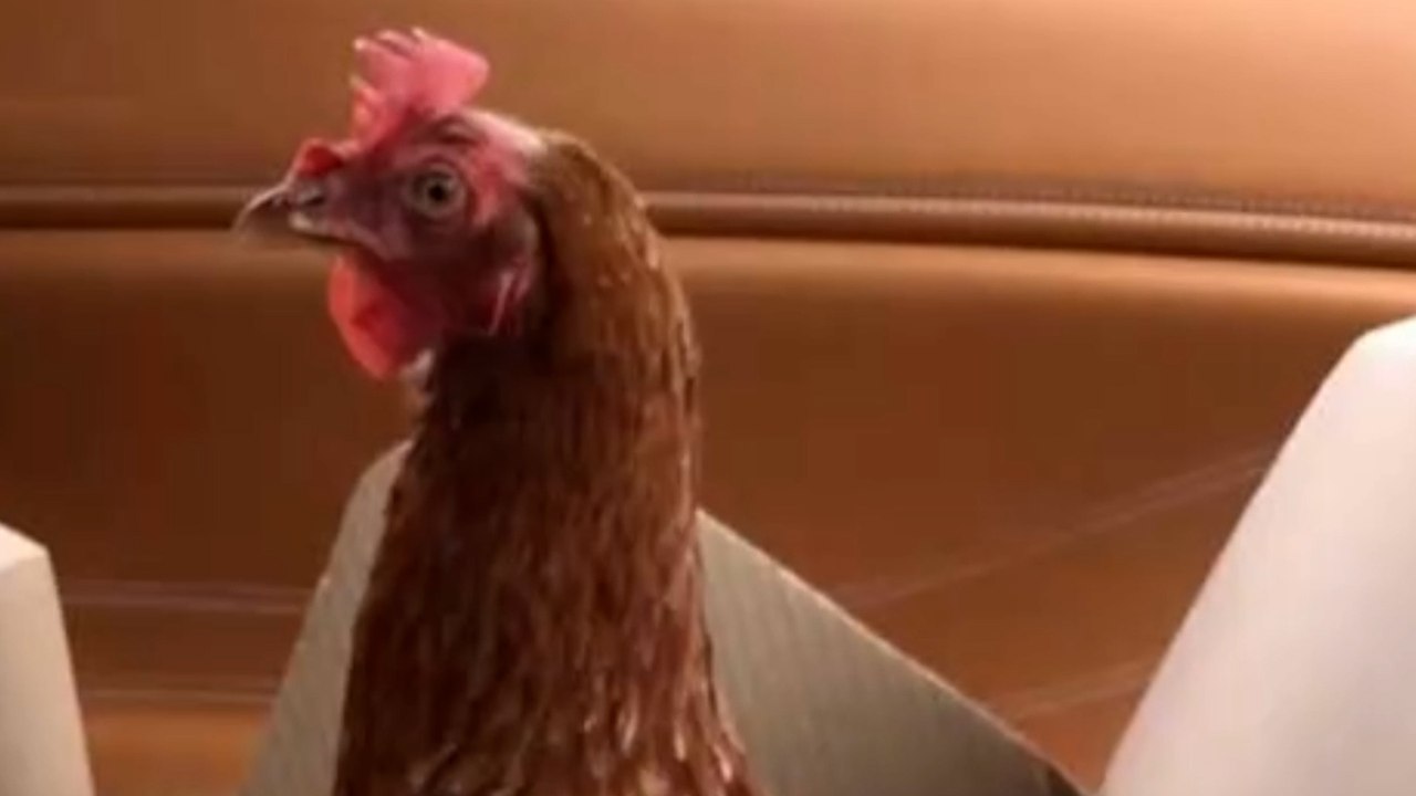 Hochzeitsgäste völlig ENTSETZT, als sie merken, wen die Braut zum Altar führt