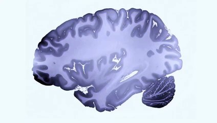 Adicciones comportamentales