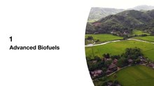 Roman Zenon Dawidowicz | Biofuel Market Insights