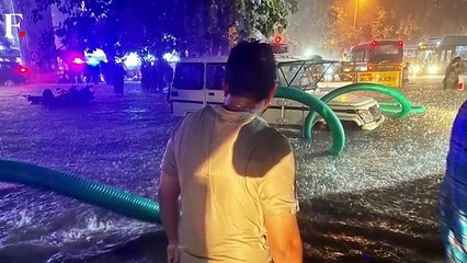 BIG barking news update