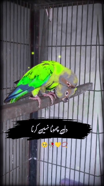 Dua Qbool Na Ho to | 1.8.24