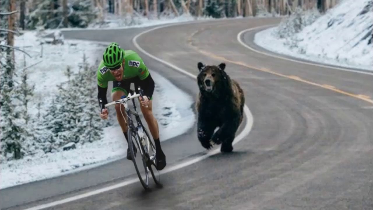 Funny Moments Of The Year Compilation 