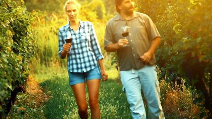 A influência da tecnologia na vinicultura moderna inovações e avanços - Giampiero Rosmo