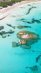 LA SUBLIME PLAGE d’Asinara en Sardaigne
