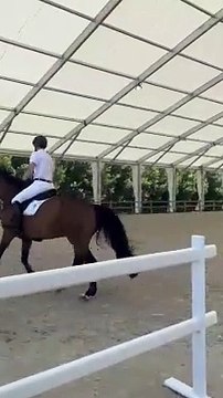Derry showjumper Daniel Coyle preparing to ride at the Paris Olympics