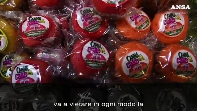 Emendamento contro Cannabis light a rischio 150 mila posti di lavoro