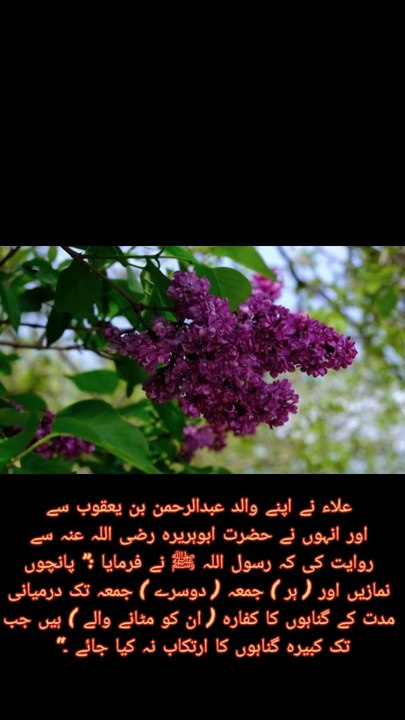 Namaz