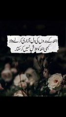 تو وہ اللہ کو کبھی بھی تلاش نہیں کر سکتا #trending#viral#shorts#islamic#foryou#dailymotion#share