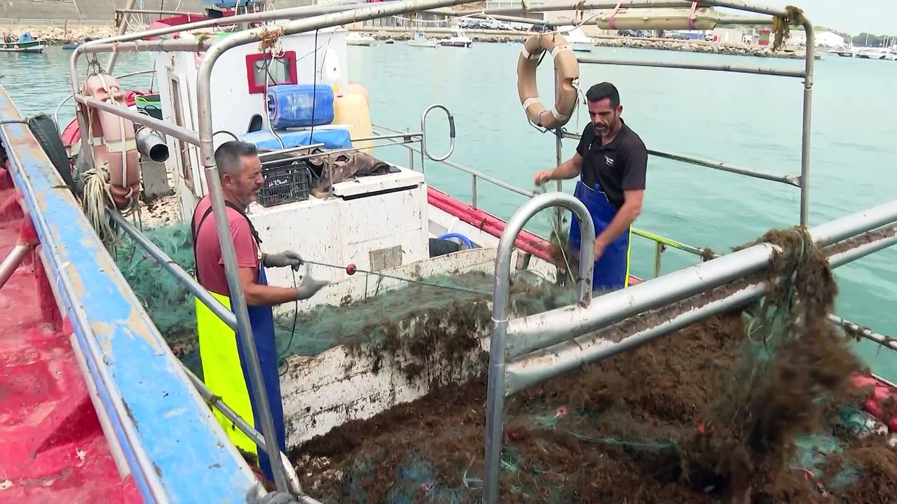 Pescadores artesanales de Conil advierten del "desastre" en el sector por las algas invasoras