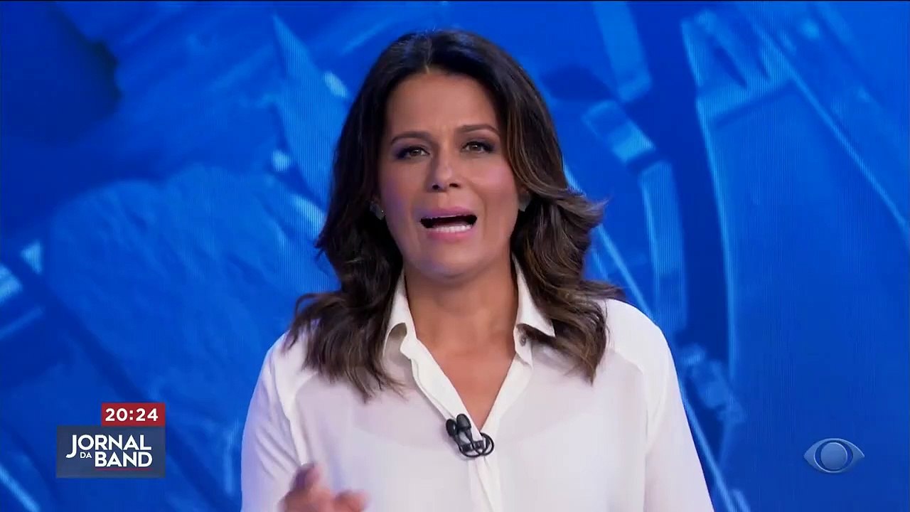 Lobo-marinho é flagrado descansando em praia no RJ