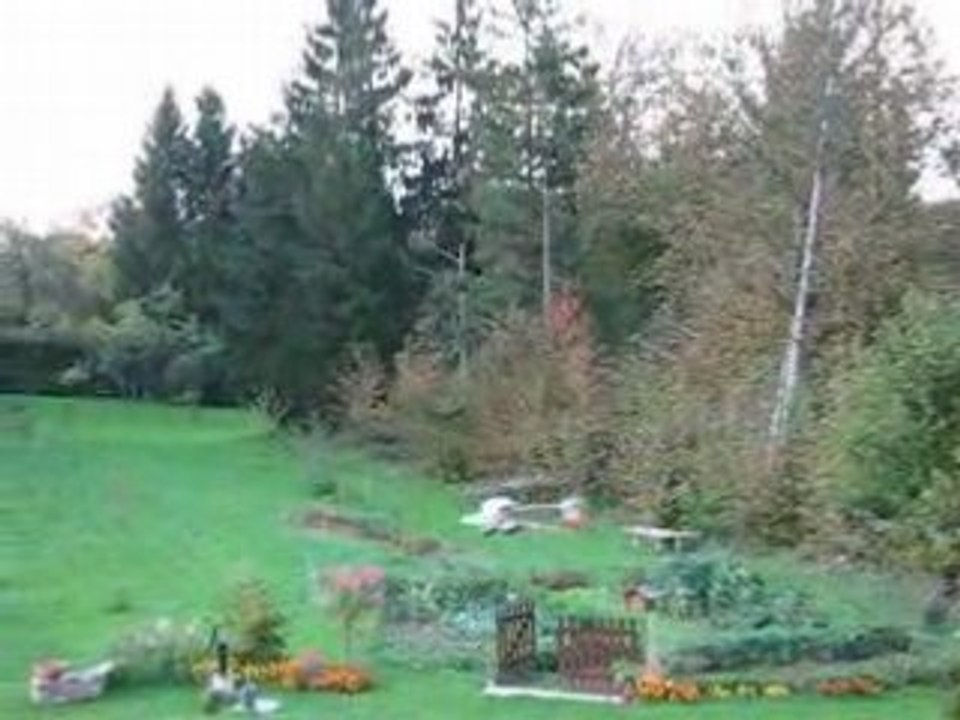 Honey bee king video_08