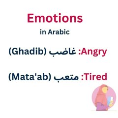 Arabic words | Arabic vocabulary |Arabic basic words