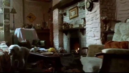 Emmerdale Spoilers for August 1, 2024: Exciting Twists & New Beginnings 🌾