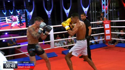 Battle of Saint-Raphaël -