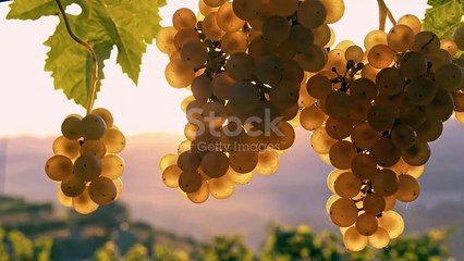 istockphoto-503728134-640_adpp_is