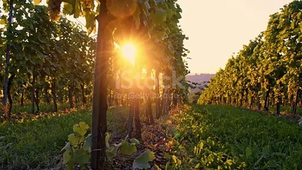 istockphoto-503750494-640_adpp_is