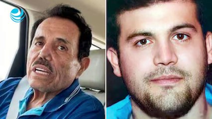 Facciones del Cártel de Sinaloa, con mandos limitados