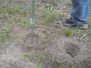 Weeder and Auger Electric Drill Attachment Demo