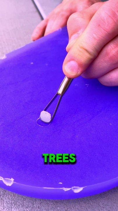 Satisfying Video