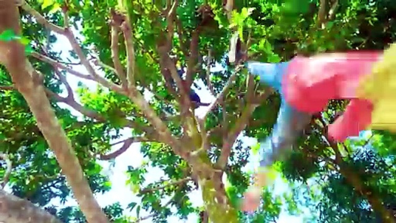 Shaktiman And Monkey Special Trending Funny Comedy Video 2024--Amazing Comedy Video 2024 Episode 272(480P)