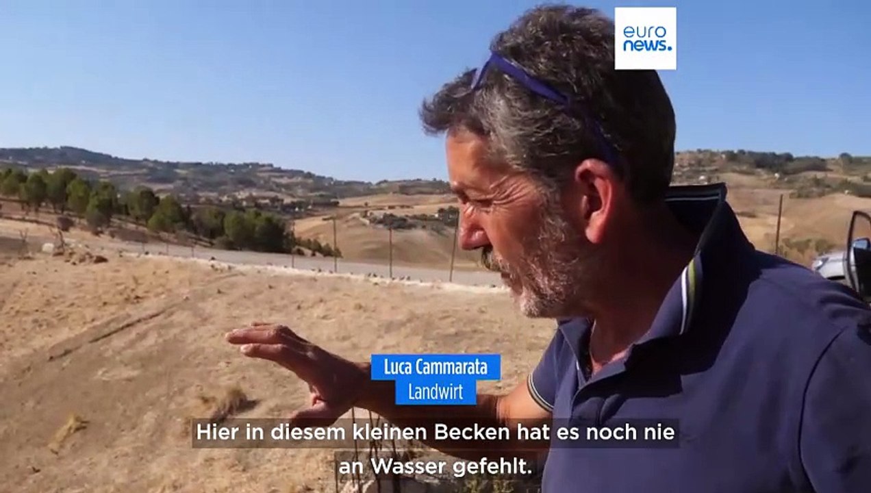 Extreme Hitze und Dürre auf Sizilien: Durstige Schafe und wütende Landwirte