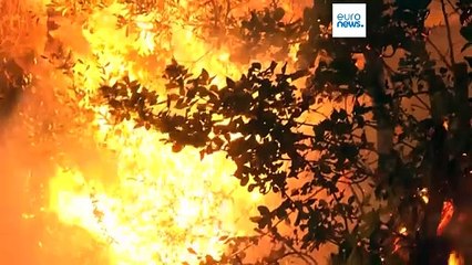 "El calor es horrible": Europa lucha contra las temperaturas extremas y los incendios forestales