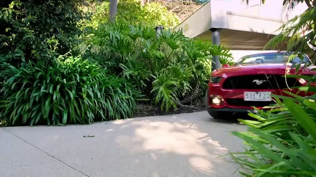 Neighbours 1st August 2024 (9088)