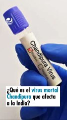 ¿Qué es el virus mortal Chandipura que afecta a la India?