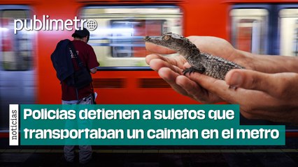 Policías detienen a usuarios por transportar a un caimán en el metro