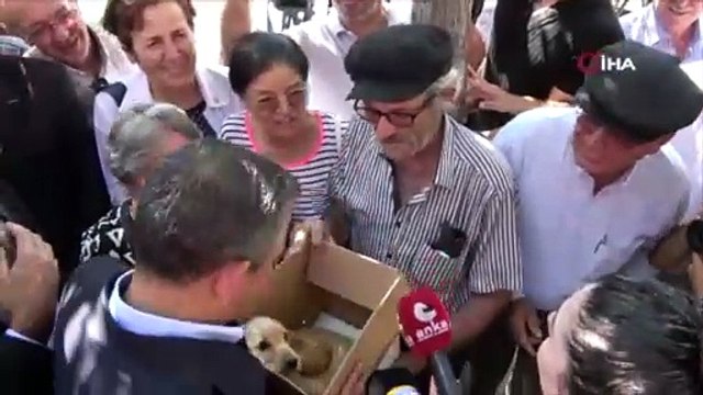 Özgür Özel vatandaşın hediye ettiği yavru köpeği sahiplendi! 'Mayıs' CHP Genel Merkez'e gidiyor