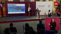 Proyecto Chapultepec Naturaleza y Cultura tuvo una inversión de 10 mil mdp