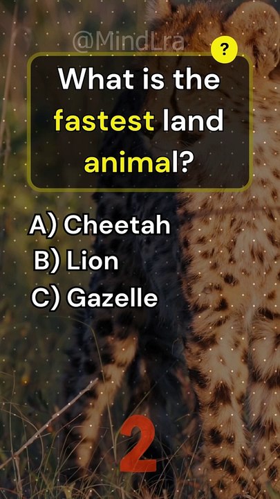 How Much Do You Know about Animals?  Write Your Score In Comments