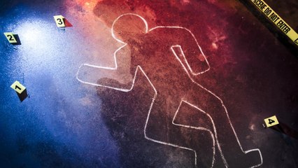 Gentlemen cambrioleurs