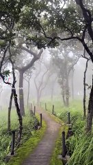 Very beautiful place ❣️