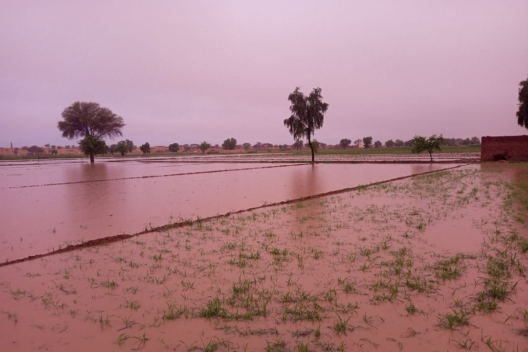 Monsoon Rain : प्रदेश में आज भी तेज बारिश की चेतावनी, जयपुर में बादल छाए