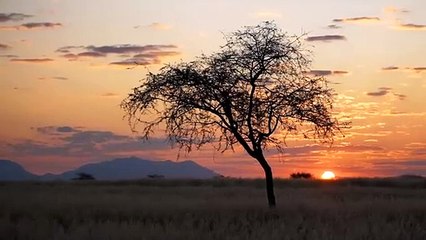 My Trip to Namibia _ Safari, Desert, and Coast