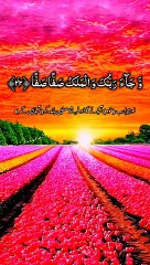 Tilawatul_Quran beautiful voice translation Urdu video 22