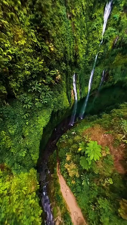 Beautiful natural video