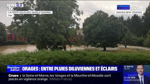 Seine-et-Marne, Vosges, Meurthe-et-Moselle... après les violents orages et les pluies diluviennes, des rues submergées par les eaux