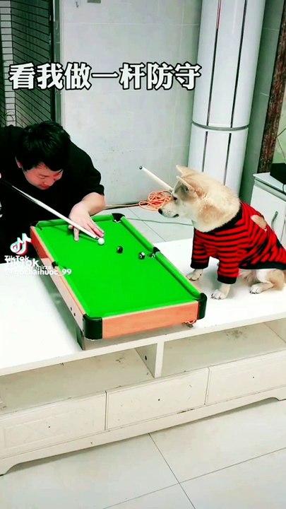 #snooker #trickshot #videos #foryou  #funnymoments #rehmanitx54 #funnyvideo #viralvideo
