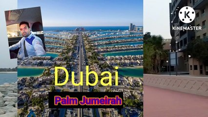 Palm Jumeirah _ Palm Jumeirah Dubai view.#palmjumeira#atlantistheroyal