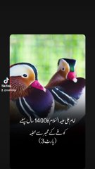 خطبہ مولا علی علیہ السلام