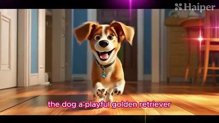 Finding the Perfect Fit