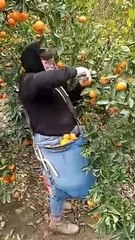 Most Funny Videos On Internet #funny #viral