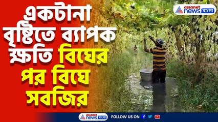 একটানা ভারী বৃষ্টিতে ব্যাপক ক্ষতি সবজি চাষে, মাথায় হাত সুন্দরবনের চাষিদের